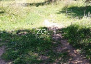 Οικόπεδο 11.000 τ.μ. για πώληση, Αχαΐα, Λάρισσος-thumb-1