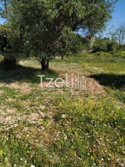 Οικόπεδο 11.000 τ.μ. για πώληση, Αχαΐα, Λάρισσος-thumb-16