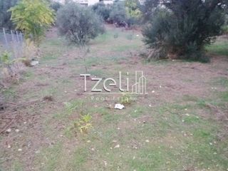 Οικόπεδο 2.500 τ.μ. για πώληση, Αχαΐα, Βραχναίικα-thumb-6
