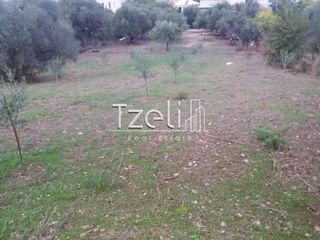 Οικόπεδο 2.500 τ.μ. για πώληση, Αχαΐα, Βραχναίικα-thumb-5