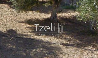 Οικόπεδο 2.500 τ.μ. για πώληση, Αχαΐα, Βραχναίικα-thumb-9