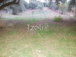 Οικόπεδο 2.500 τ.μ. για πώληση, Αχαΐα, Βραχναίικα-thumb-8