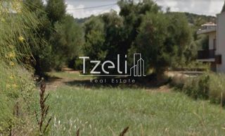 Οικόπεδο 2.500 τ.μ. για πώληση, Αχαΐα, Βραχναίικα-thumb-12