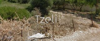 Οικόπεδο 2.500 τ.μ. για πώληση, Αχαΐα, Βραχναίικα-thumb-10