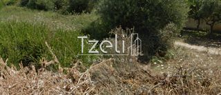 Οικόπεδο 2.500 τ.μ. για πώληση, Αχαΐα, Βραχναίικα-thumb-16
