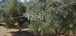 Οικόπεδο 2.500 τ.μ. για πώληση, Αχαΐα, Βραχναίικα-thumb-17