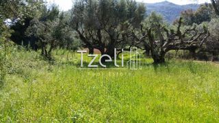 Οικόπεδο 468 τ.μ. για πώληση, Αχαΐα, Ρίο-thumb-22