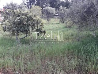 Οικόπεδο 468 τ.μ. για πώληση, Αχαΐα, Ρίο-thumb-3
