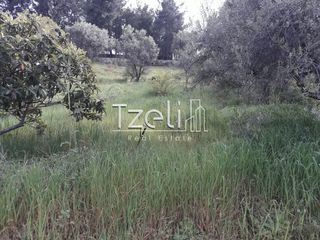 Οικόπεδο 468 τ.μ. για πώληση, Αχαΐα, Ρίο-thumb-5