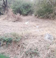 Οικόπεδο 320 τ.μ. για πώληση, Ζάκυνθος, Αλυκές-thumb-1