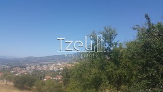 Οικόπεδο 1.000 τ.μ. για πώληση, Αχαΐα, Μεσσατίδα-thumb-23