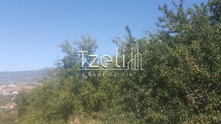 Οικόπεδο 1.000 τ.μ. για πώληση, Αχαΐα, Μεσσατίδα-thumb-19