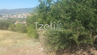 Οικόπεδο 1.000 τ.μ. για πώληση, Αχαΐα, Μεσσατίδα-thumb-12
