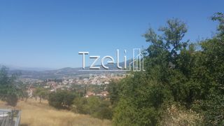 Οικόπεδο 1.000 τ.μ. για πώληση, Αχαΐα, Μεσσατίδα-thumb-3