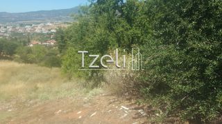Οικόπεδο 1.000 τ.μ. για πώληση, Αχαΐα, Μεσσατίδα-thumb-15