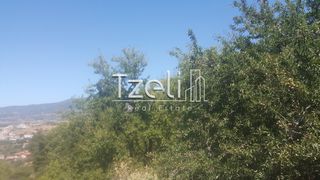 Οικόπεδο 1.000 τ.μ. για πώληση, Αχαΐα, Μεσσατίδα-thumb-21