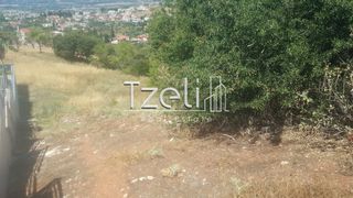 Οικόπεδο 1.000 τ.μ. για πώληση, Αχαΐα, Μεσσατίδα-thumb-1