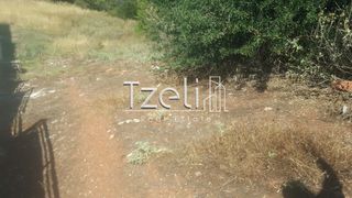 Οικόπεδο 1.000 τ.μ. για πώληση, Αχαΐα, Μεσσατίδα-thumb-2