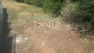 Οικόπεδο 1.000 τ.μ. για πώληση, Αχαΐα, Μεσσατίδα-thumb-9