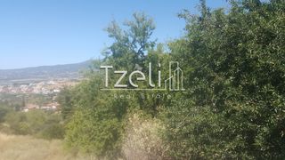 Οικόπεδο 1.000 τ.μ. για πώληση, Αχαΐα, Μεσσατίδα-thumb-16
