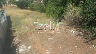 Οικόπεδο 1.000 τ.μ. για πώληση, Αχαΐα, Μεσσατίδα-thumb-14