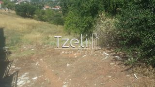 Οικόπεδο 1.000 τ.μ. για πώληση, Αχαΐα, Μεσσατίδα-thumb-4