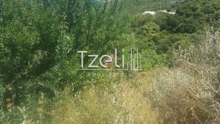 Οικόπεδο 1.000 τ.μ. για πώληση, Αχαΐα, Μεσσατίδα-thumb-10