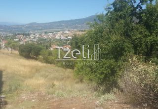 Οικόπεδο 1.000 τ.μ. για πώληση, Αχαΐα, Μεσσατίδα-thumb-24