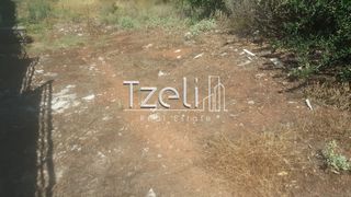 Οικόπεδο 1.000 τ.μ. για πώληση, Αχαΐα, Μεσσατίδα-thumb-7