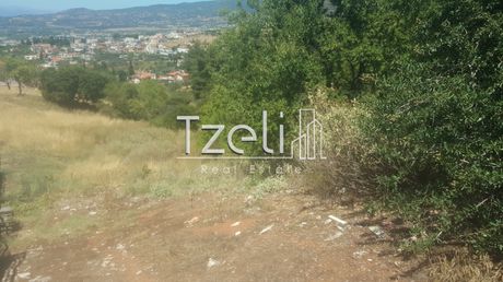 Land plot 1.000sqm for sale-Messatida » Saravali