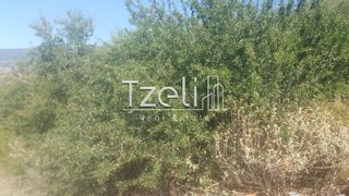 Οικόπεδο 1.000 τ.μ. για πώληση, Αχαΐα, Μεσσατίδα-thumb-5