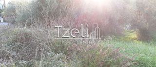 Οικόπεδο 700 τ.μ. για πώληση, Αχαΐα, Μεσσατίδα-thumb-16