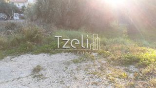 Οικόπεδο 700 τ.μ. για πώληση, Αχαΐα, Μεσσατίδα-thumb-15