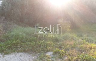 Οικόπεδο 700 τ.μ. για πώληση, Αχαΐα, Μεσσατίδα-thumb-19