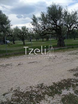 Land plot 3.500sqm for rent-Patra » Neo Souli