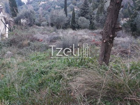 Οικόπεδο 1.000τ.μ. για πώληση-Μεσσατίδα » Θέα