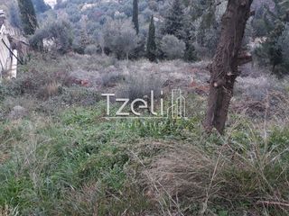 Οικόπεδο 1.000 τ.μ. για πώληση