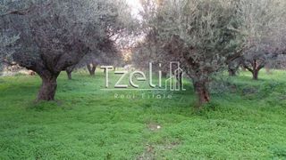 Οικόπεδο 250 τ.μ. για πώληση, Αχαΐα, Πάτρα-thumb-11