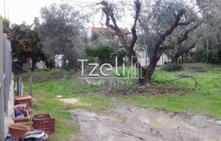 Οικόπεδο 488 τ.μ. για πώληση, Αχαΐα, Παραλία-thumb-24