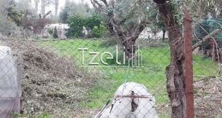 Οικόπεδο 488 τ.μ. για πώληση, Αχαΐα, Παραλία-thumb-20