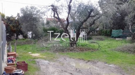 Οικόπεδο 488τ.μ. για πώληση-Παραλία » Ρογίτικα