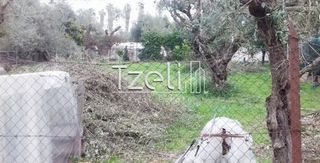 Οικόπεδο 488 τ.μ. για πώληση, Αχαΐα, Παραλία-thumb-17