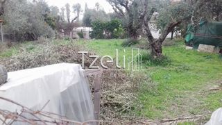 Οικόπεδο 488 τ.μ. για πώληση, Αχαΐα, Παραλία-thumb-3