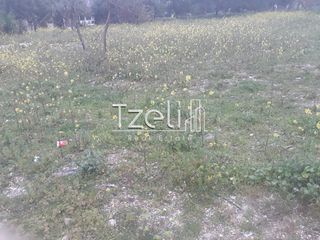 Οικόπεδο 528 τ.μ. για πώληση, Αχαΐα, Μεσσατίδα-thumb-15