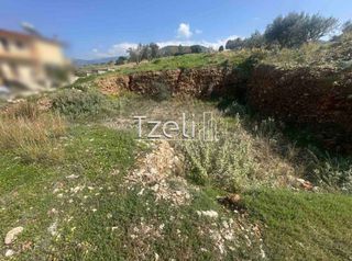 Οικόπεδο 528 τ.μ. για πώληση, Αχαΐα, Μεσσατίδα-thumb-4