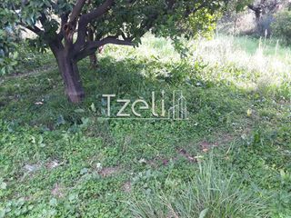 Οικόπεδο 528 τ.μ. για πώληση, Αχαΐα, Μεσσατίδα-thumb-12
