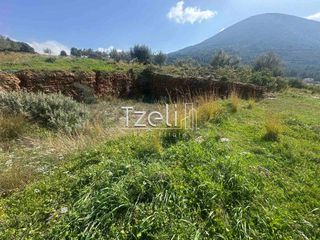 Οικόπεδο 528 τ.μ. για πώληση, Αχαΐα, Μεσσατίδα-thumb-7