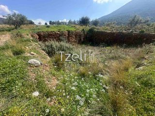 Οικόπεδο 528 τ.μ. για πώληση, Αχαΐα, Μεσσατίδα-thumb-10