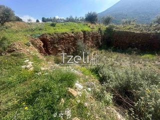 Οικόπεδο 528 τ.μ. για πώληση, Αχαΐα, Μεσσατίδα-thumb-24