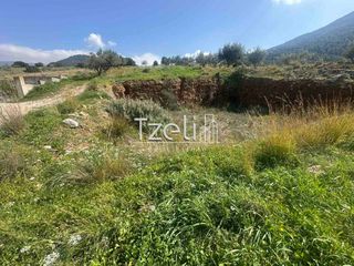 Οικόπεδο 528 τ.μ. για πώληση, Αχαΐα, Μεσσατίδα-thumb-8